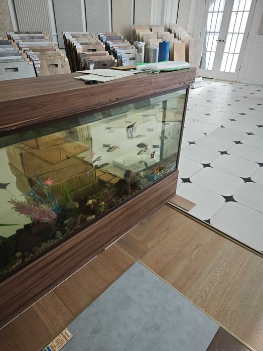 Аквариум большой