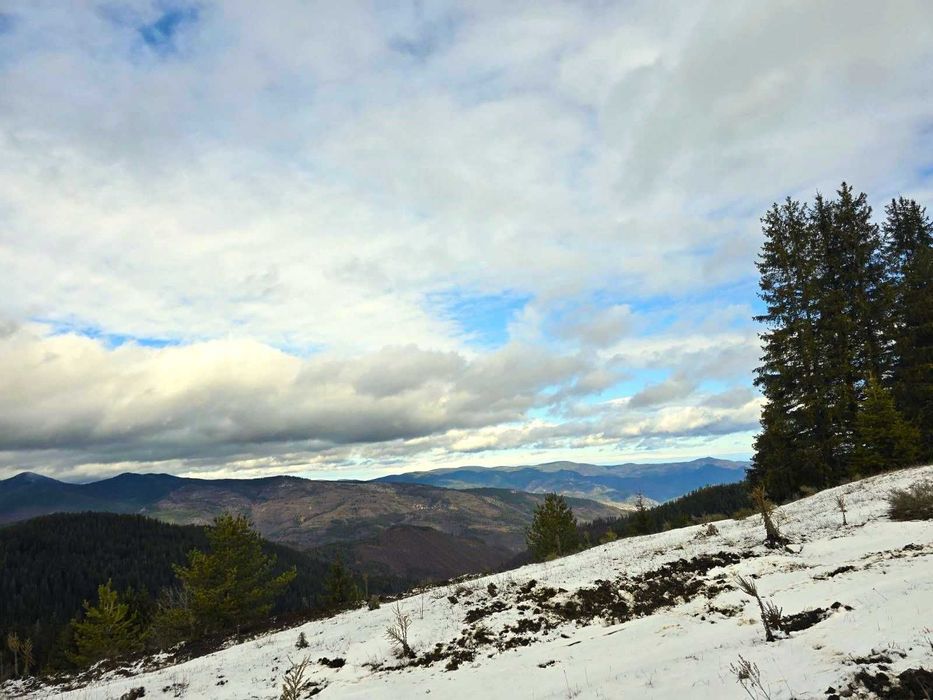 Продава се Парцел в с. Зорница, Област Смолян - 4414 кв.м за 17 €/кв.м - Снимка #5