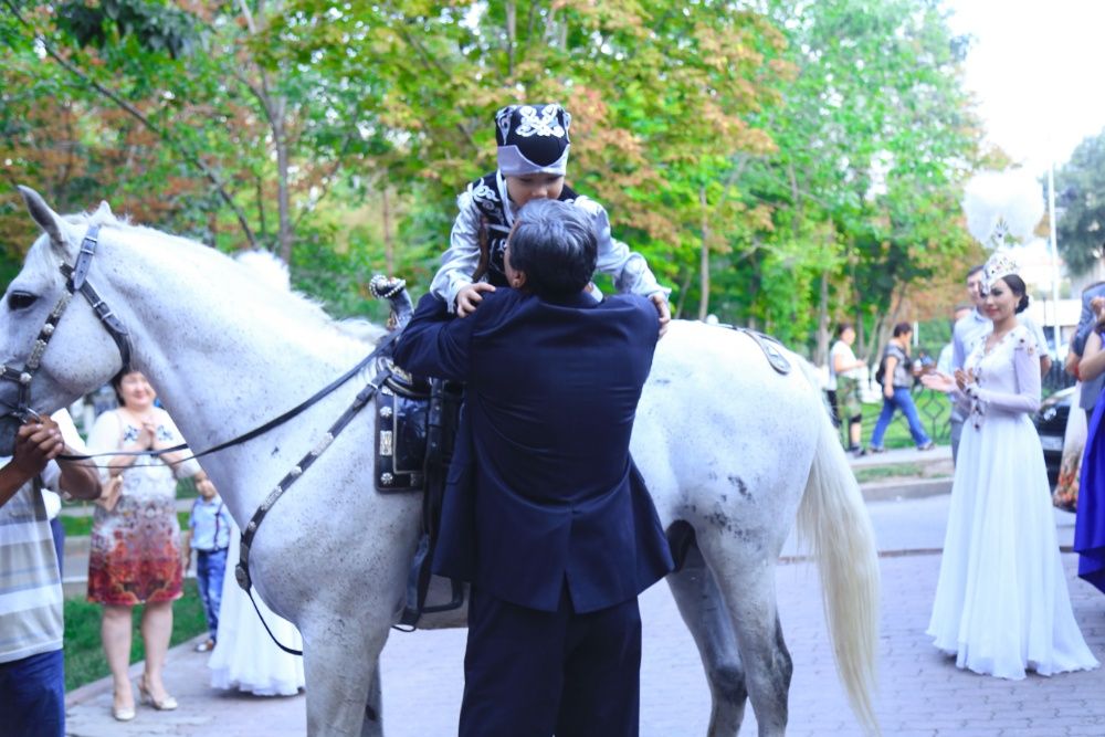 Конь. Лошадь, сопровождение