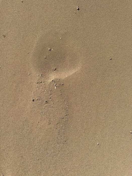 Щебень Навоз Растительный грунт Скальник