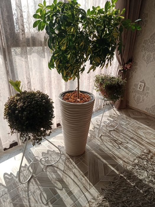 Подставка для цветов