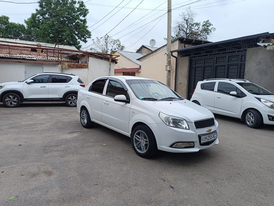 Other Nexia 2019 — 3