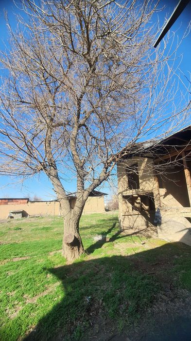 Добротный дом с деревянным каркасом с теплицей в 10 км от Ташкента.