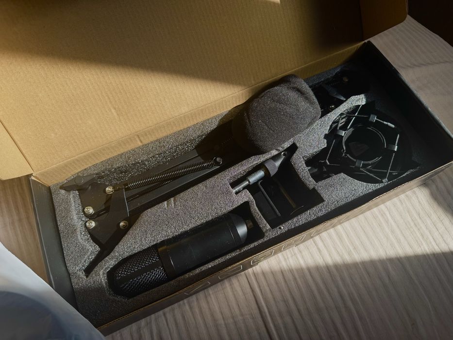 Микрофон Ritmix RDM-169
