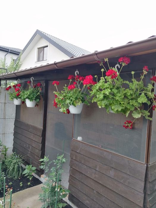 Casă de vânzare în  Orașul Pantelimon