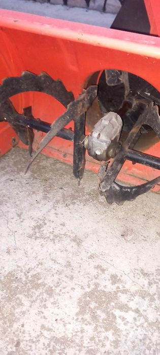 Снегорин  Ариенс