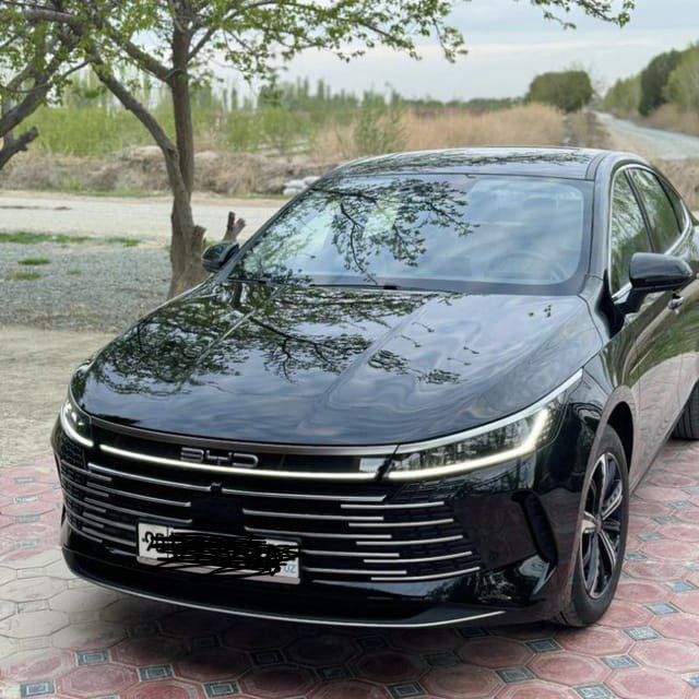 BYD Chazor 120km Full / Kraska toza /