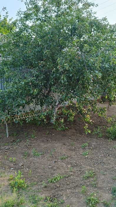 Продам коттедж в Зачаганске