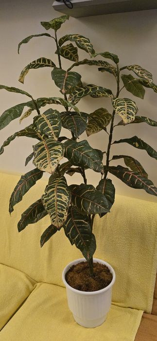 Изкуствено декоративно дърво