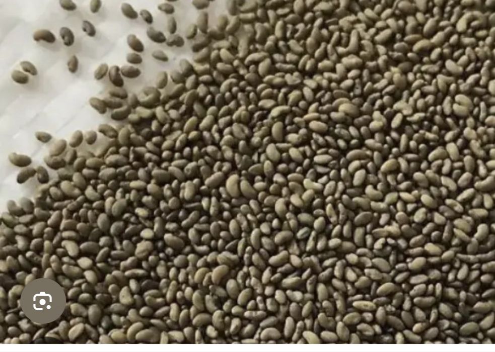 Жонышка тукым промогниченый