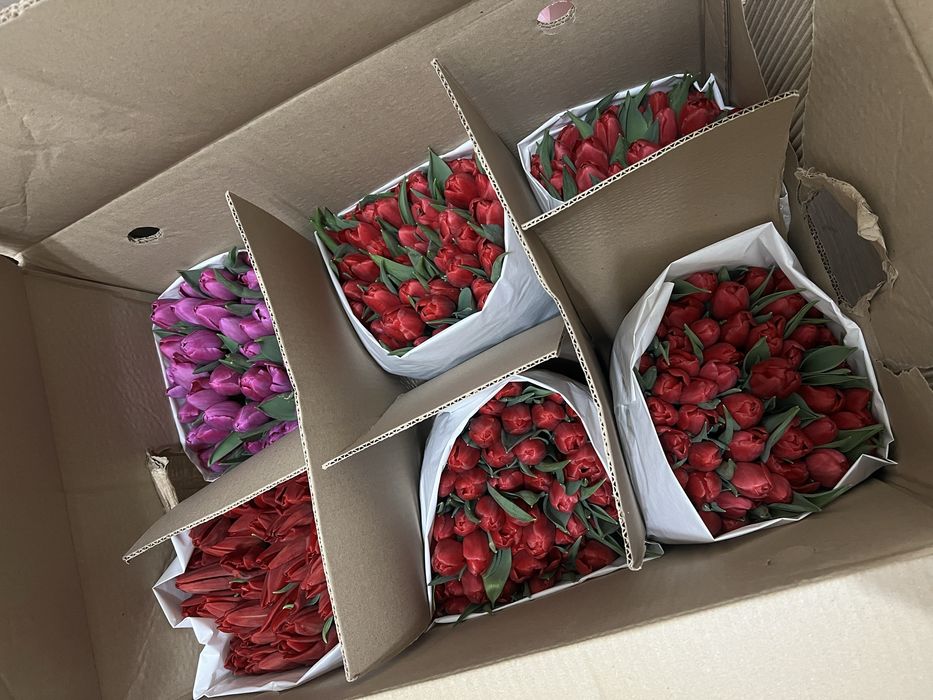 Тюльпаны оптом и в розницу Астана