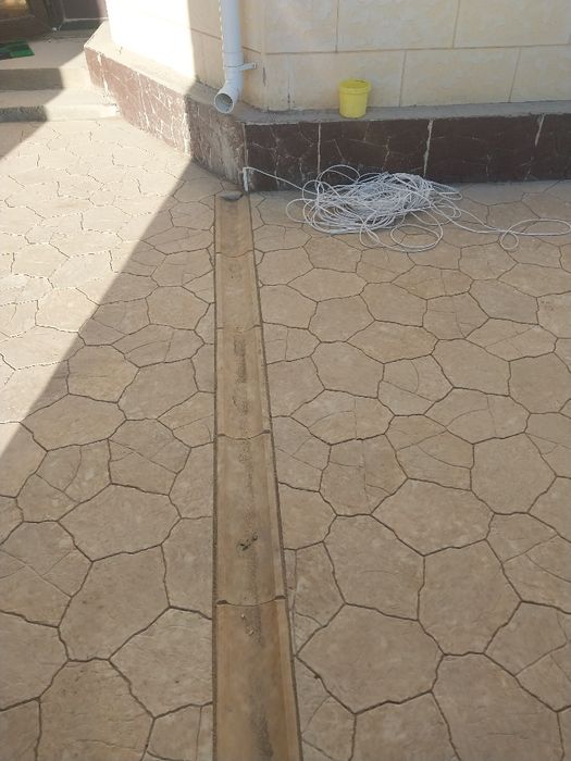 Бручатка поребрик