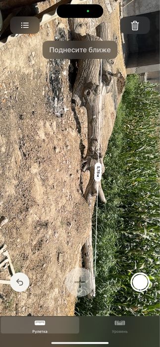 Срочноо продам !!! Тайёр кесилган ёнгоқ дарахти