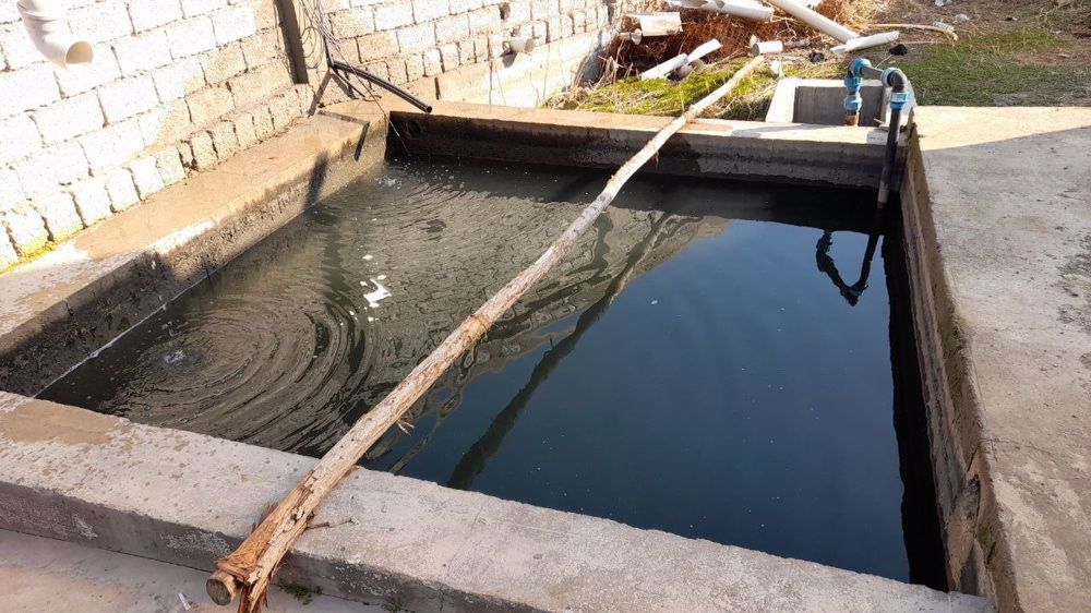 Срочно Теплица Назарбекда  сотилади вариантлар бор .