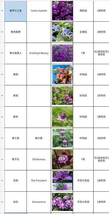 Климатис биринчи кул оптом