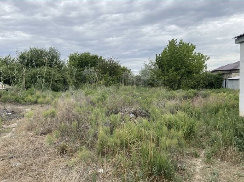 Дачный участок, дача