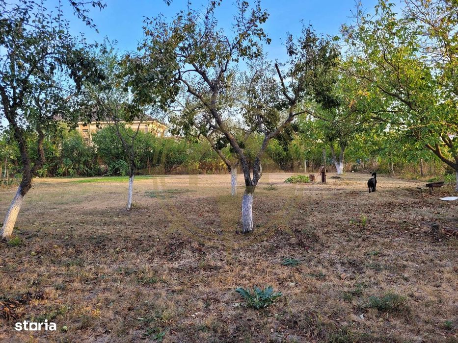 Dom00438 - de vanzare teren intravilan 1000 mp. corbeanca