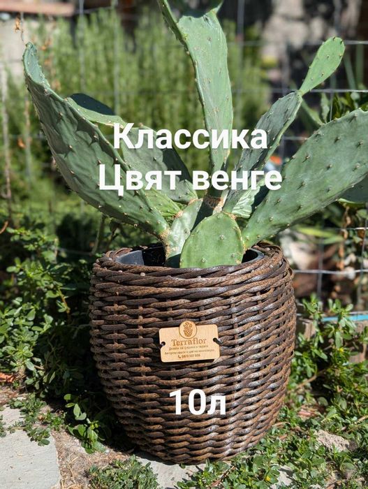 Ексклузивни авторски саксии от екоратан– ръчна изработка