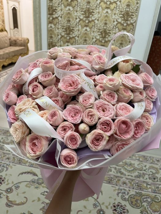 продается цветы  красивые