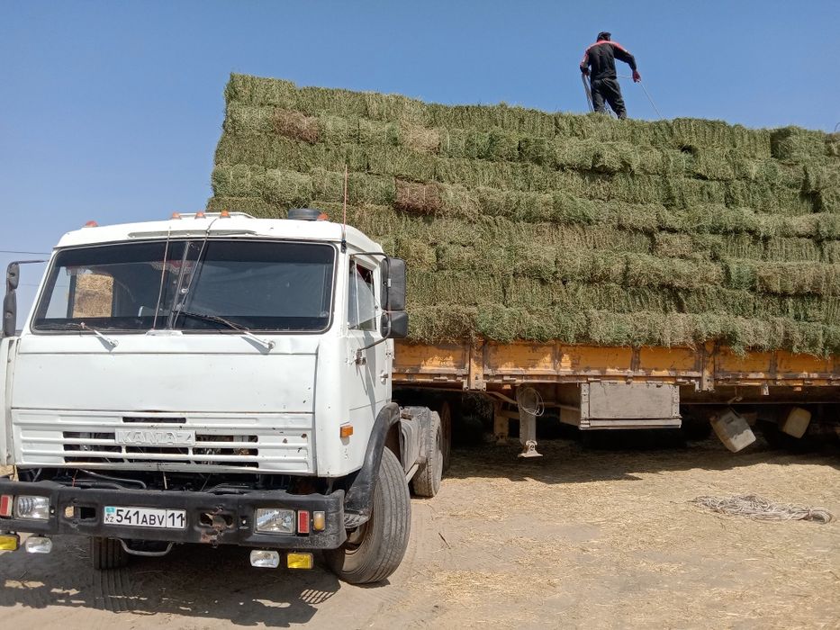 Услуги КамАЗ шаланды