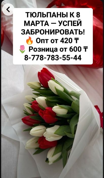 Тюльпаны оптом и в розницу
