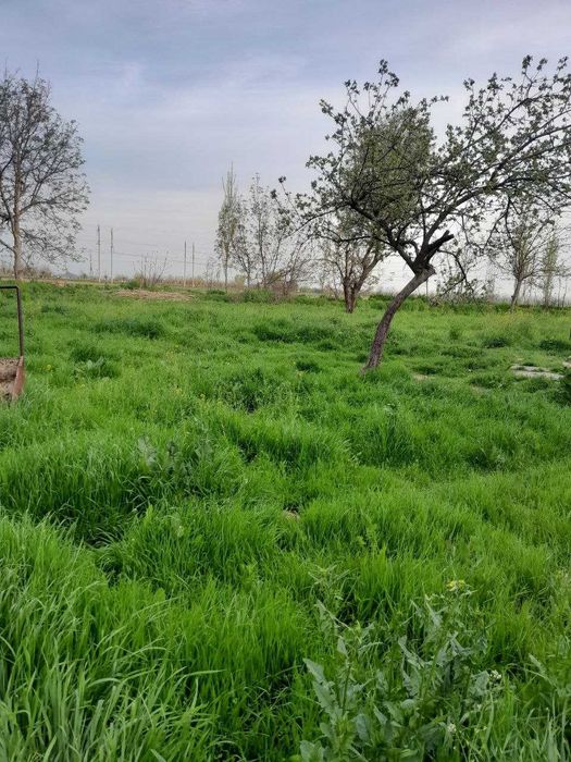 Yer sotiladi srochna