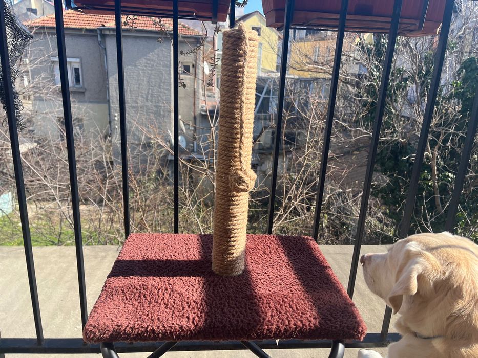 Драскалки за котки