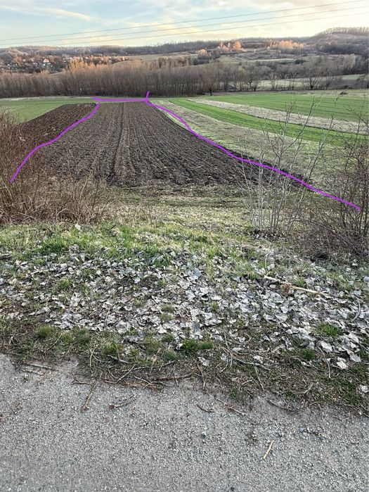 Vând teren extravilan 2.692 mp sat Nandru, comuna Pestisu Mic