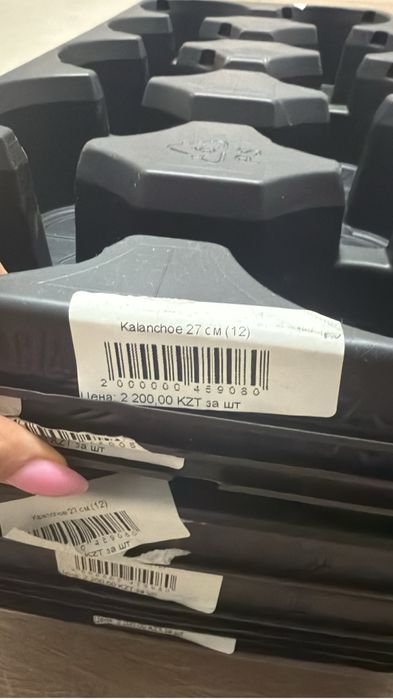 Новые кассеты для рассады