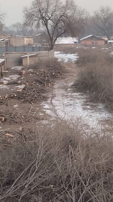 Спил деревьев ,Распил,Сруб .