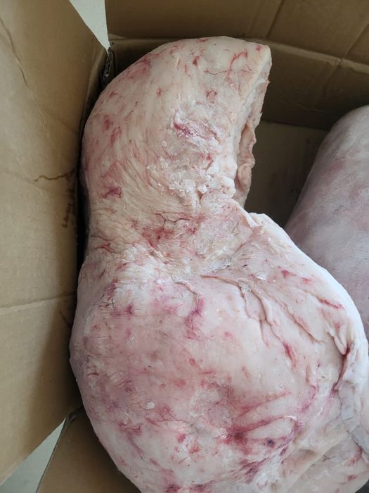 Құйрық май курдюк