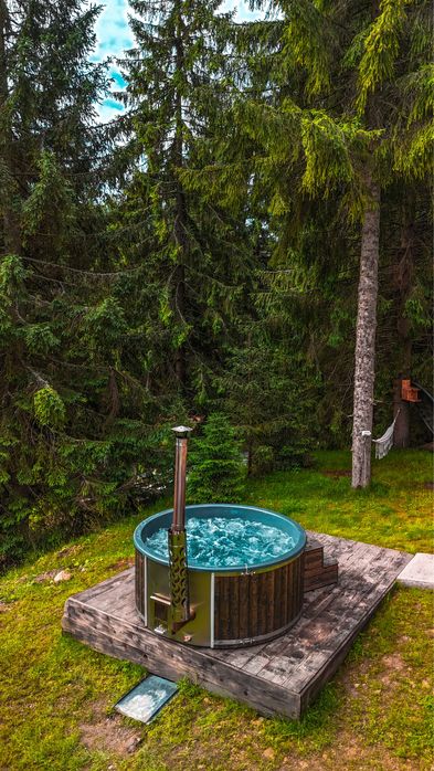 Cabana Muntii Apuseni, Cabana la munte