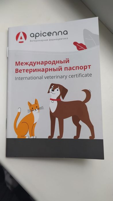 Хаски күшігі сатылады