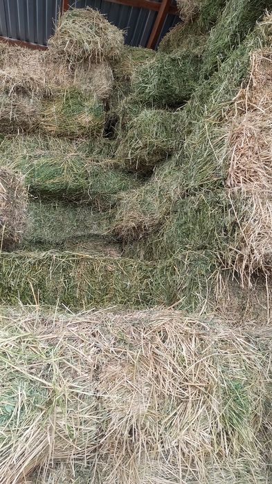 Продам люцерну    ...