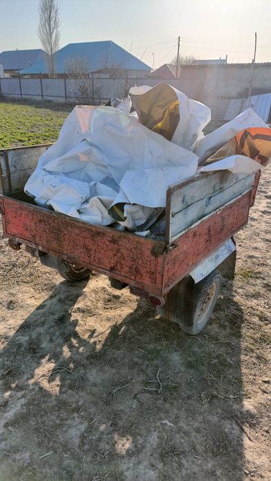 Продам два муравей