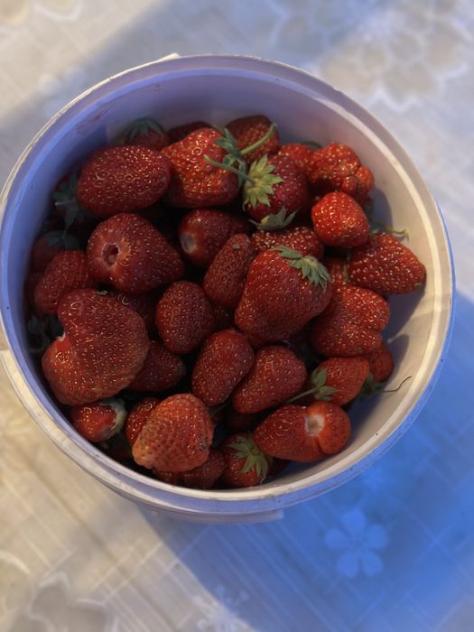 Продам дачу ПК Спутник