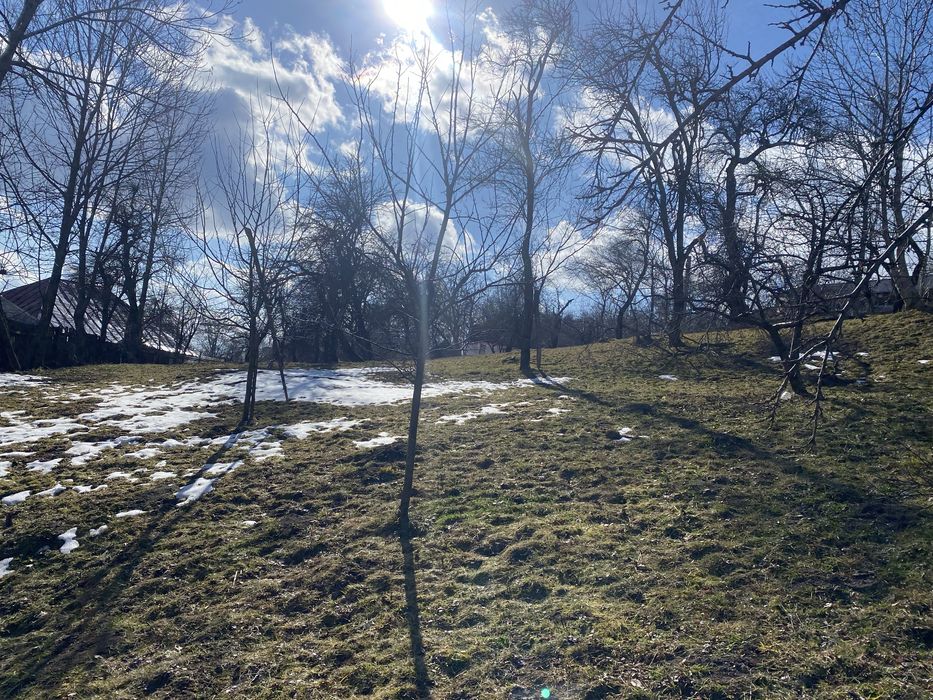 Teren intravilan de vanzare