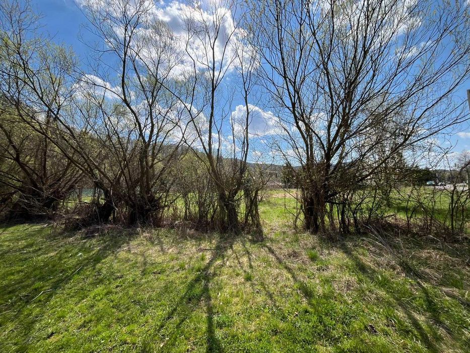 Ofertă Teren Câmpul Cetăți 2000 m²