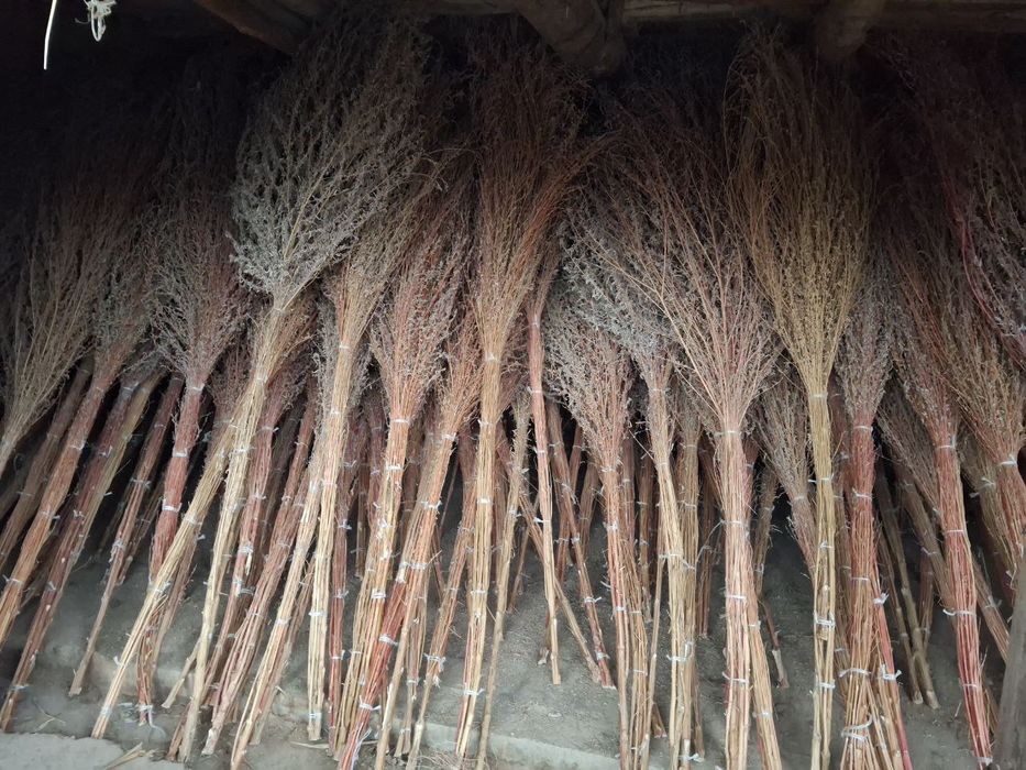 Hovli supurgi ховли супиргы веник