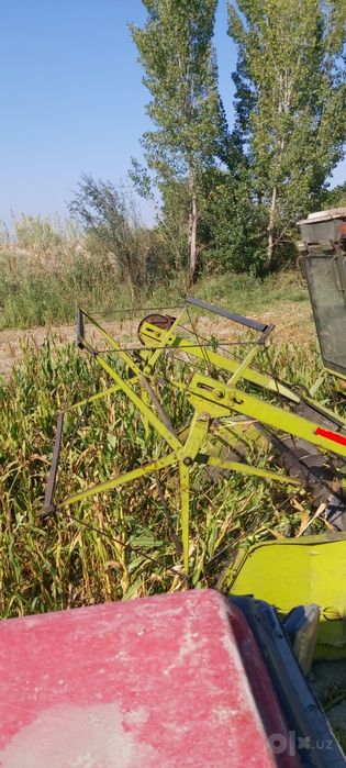 Fargona viloyati  Buvayda tumani begabod qishlogi