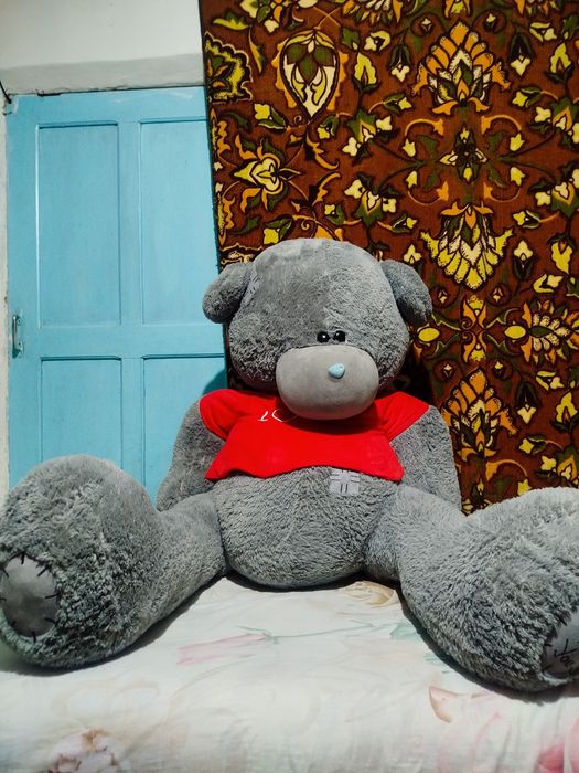 Teddy ayiqcha sotiladi.
