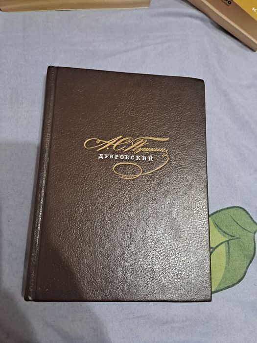 Книга Дубровский