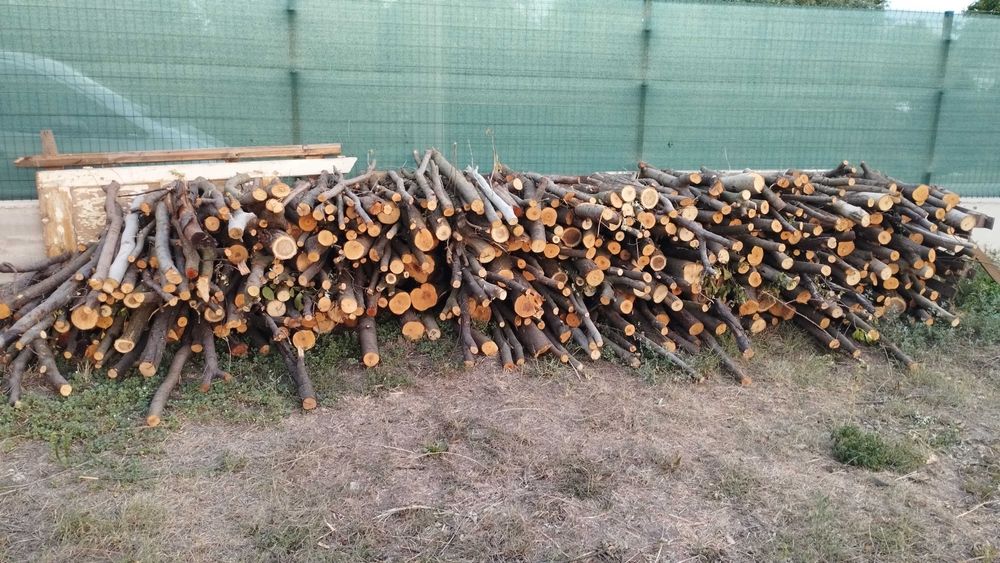 Дърва за огрев. Нарязани 7-8 кубика