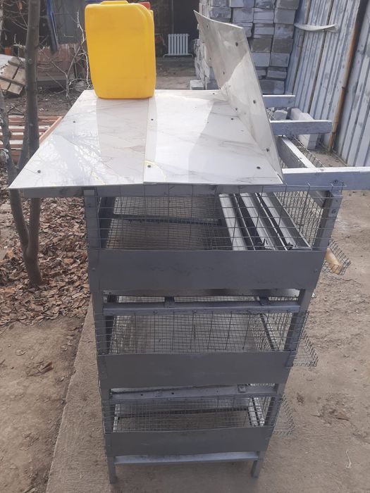 Брудер для цыплят