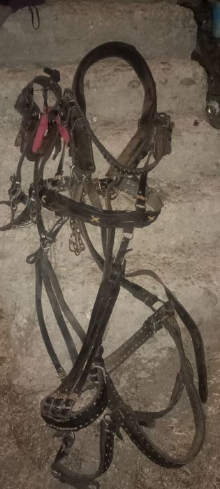 Vând Ham + căpăstru în stare foarte buna