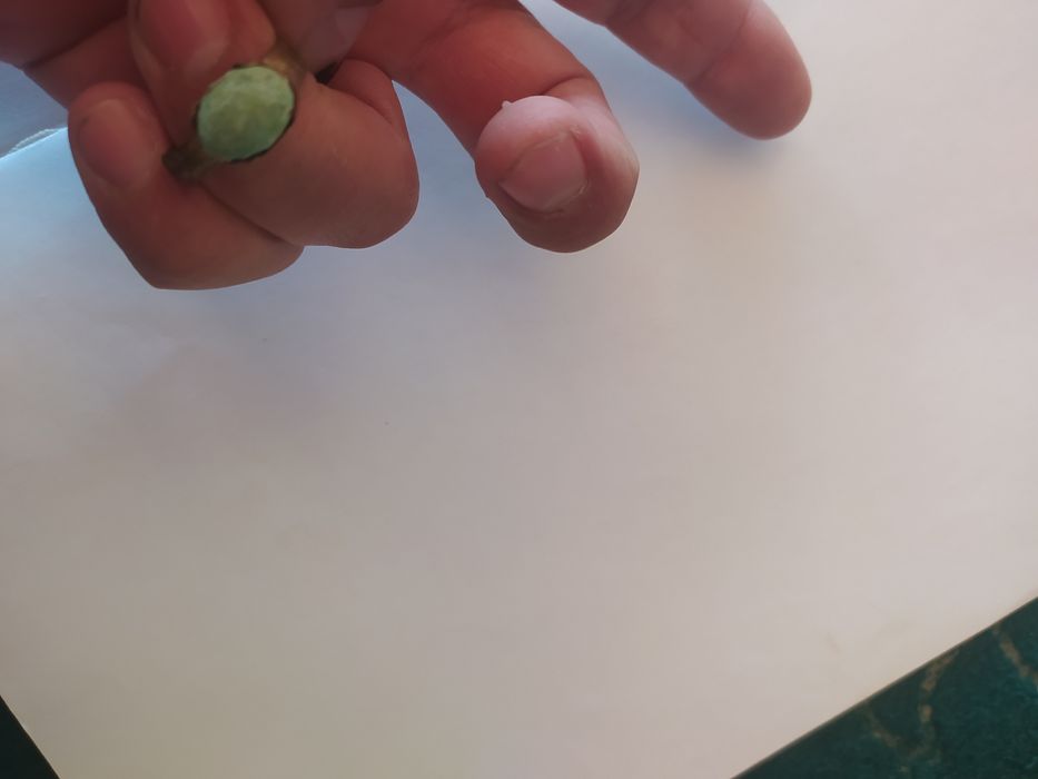 Антиквар узуклар ва метеоритлар сотилади