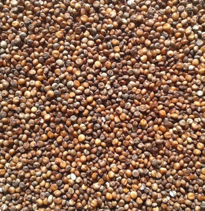 Vand sorg rosu 10 tone pentru porumbei