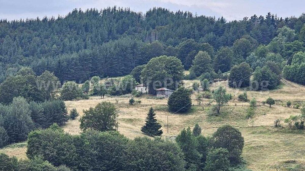 Къща в гората в с. Стърница, обл. Смолян