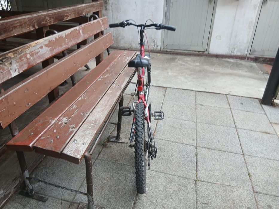 Bicicletă     DHS