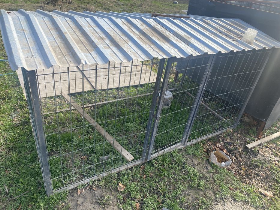 In sotiladi haloti yaxshi